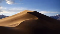 Ruhige Sanddünen unter einem klaren blauen Himmel