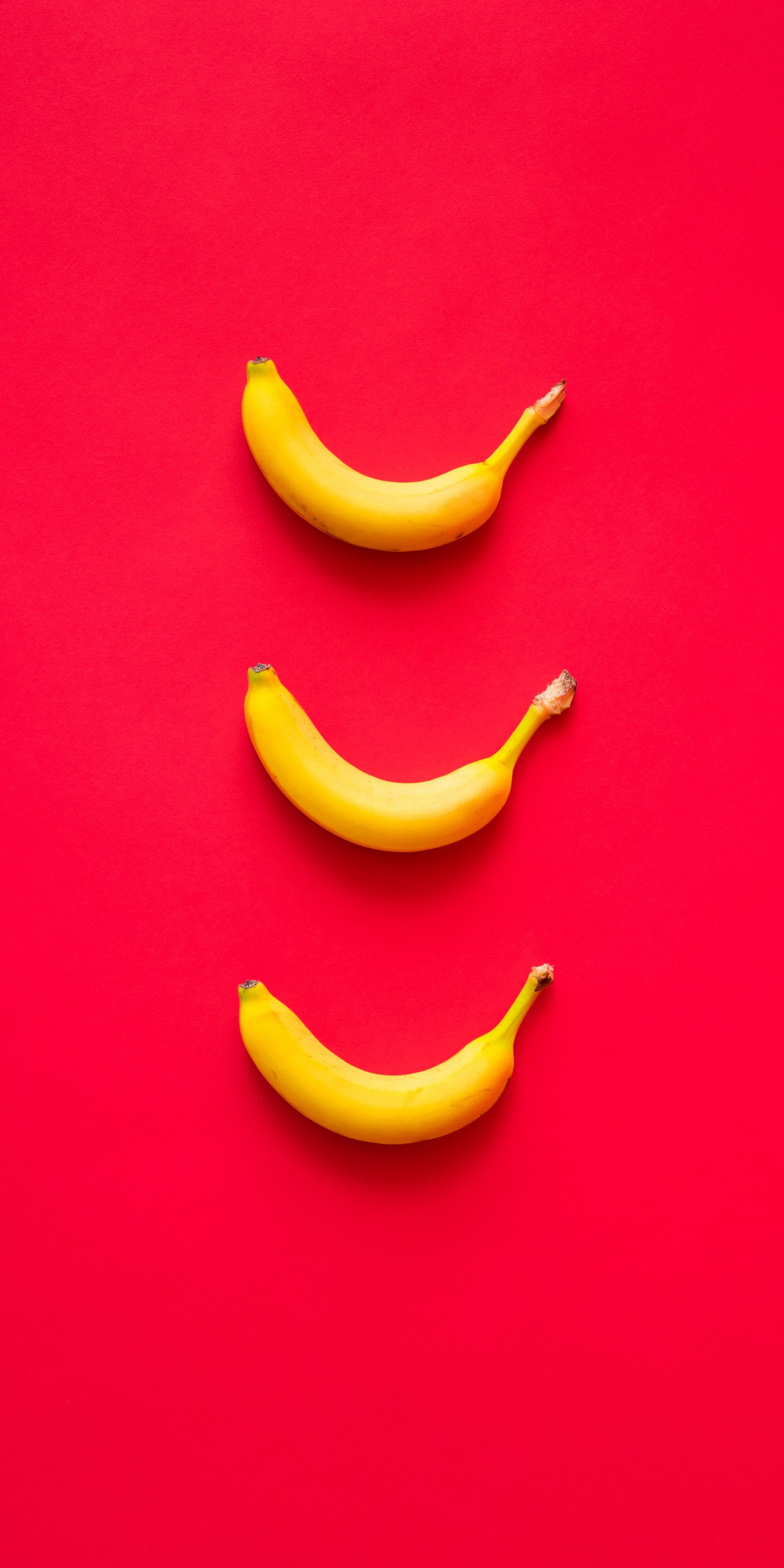 Three bananas are arranged in a row on a red surface (orange, banana, head, plant, eye)