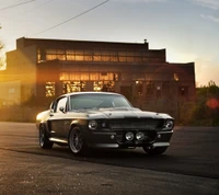 Ford Mustang GT500 Eleanor de 1967 em brilho do pôr do sol