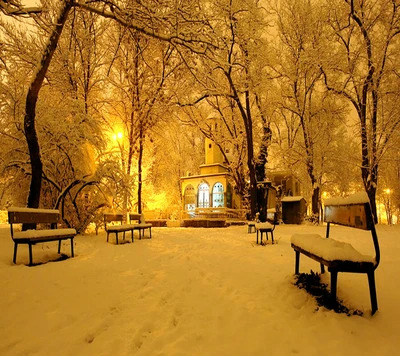 Parque invernal sereno iluminado por un suave resplandor