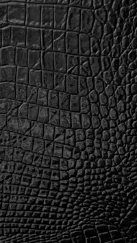 Textura de crocodilo preto em alta definição