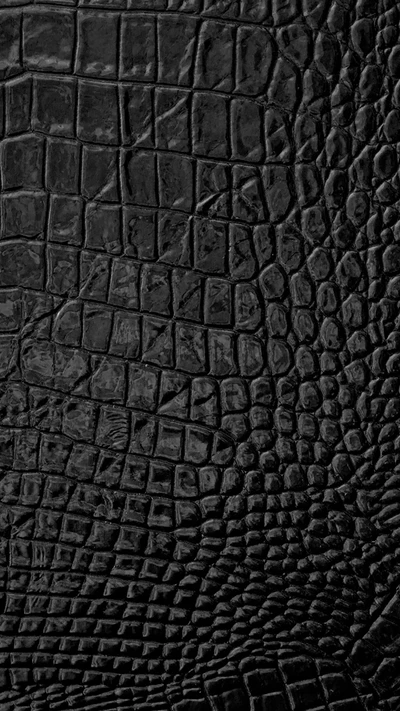 Textura de crocodilo preto em alta definição