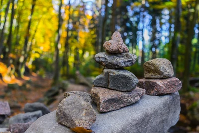 Balanced Stone Stacks Amidst a Colorful Forest背景