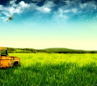 beautiful, car, cool, grass, green