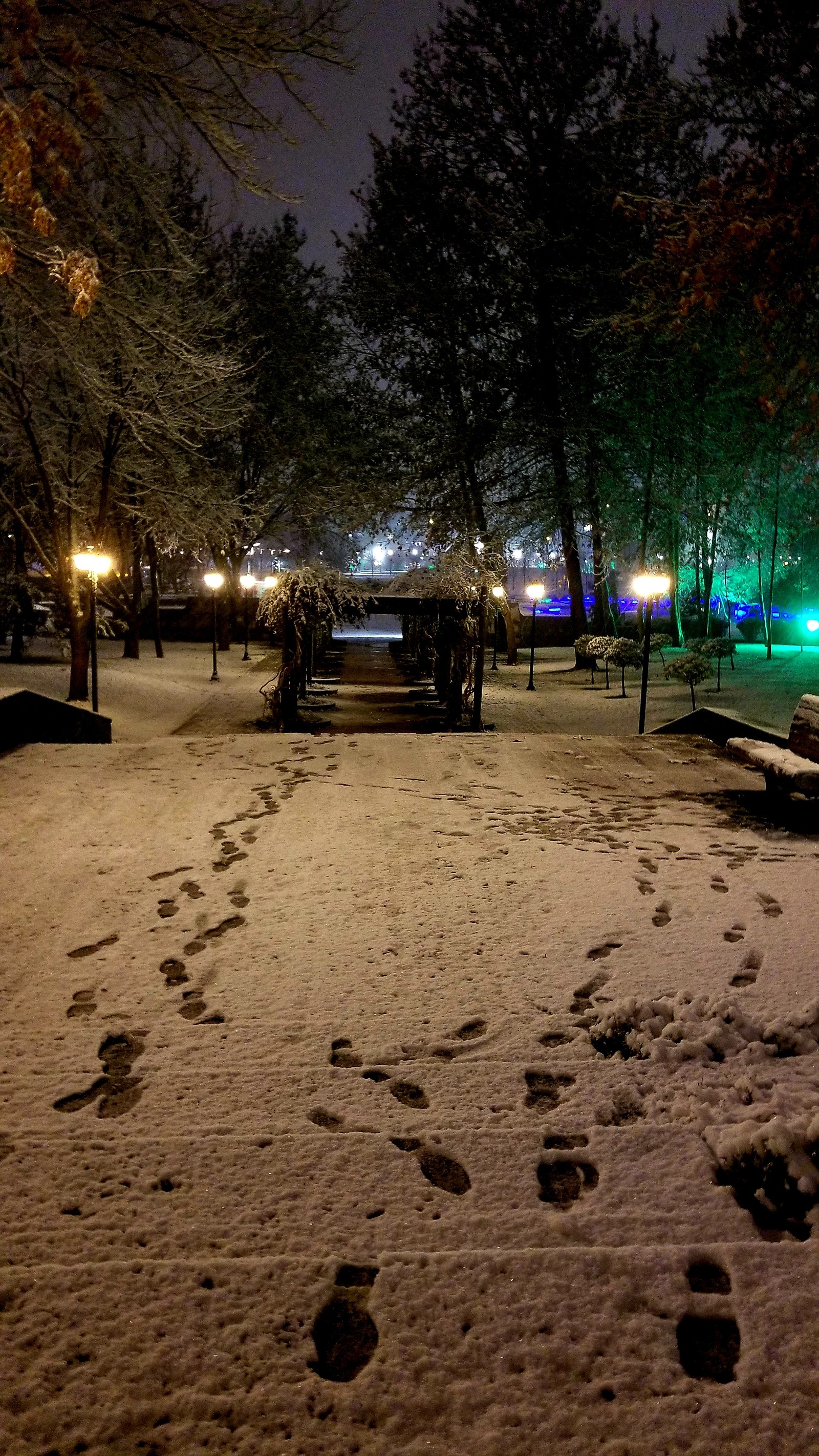 Parc enneigé avec des bancs couverts de neige la nuit (ankara, nuit, romantique, hiver)