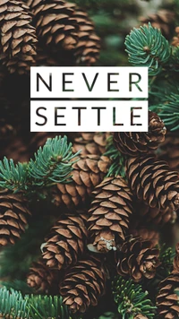 Never Settle: Embracing Nature's Textures