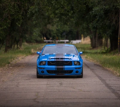 bleu, voiture, ford, muscle