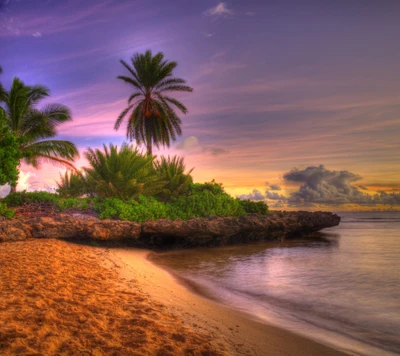 Paisaje tropical sereno con palmeras y vegetación exuberante al atardecer