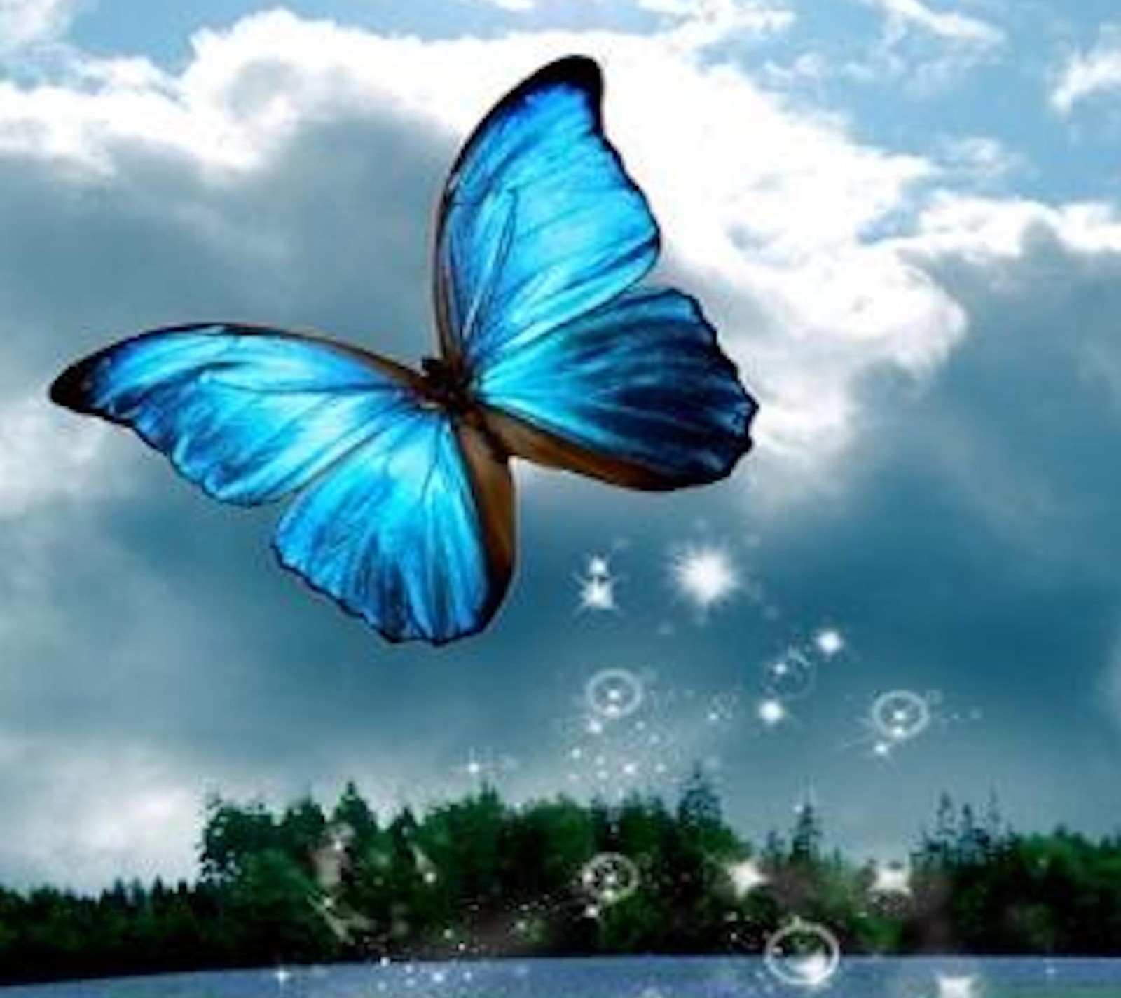 There is a blue butterfly flying over a body of water (bubbles, butterfly)