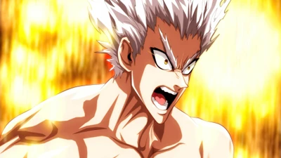 one punch man, аниме, anime, гару, garou