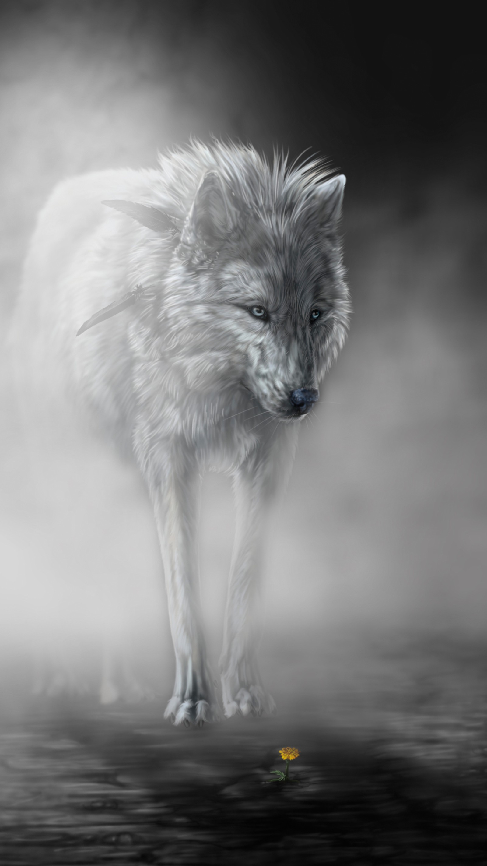 arctic wolf, black wolf, great dane, art, anime art wallpaper