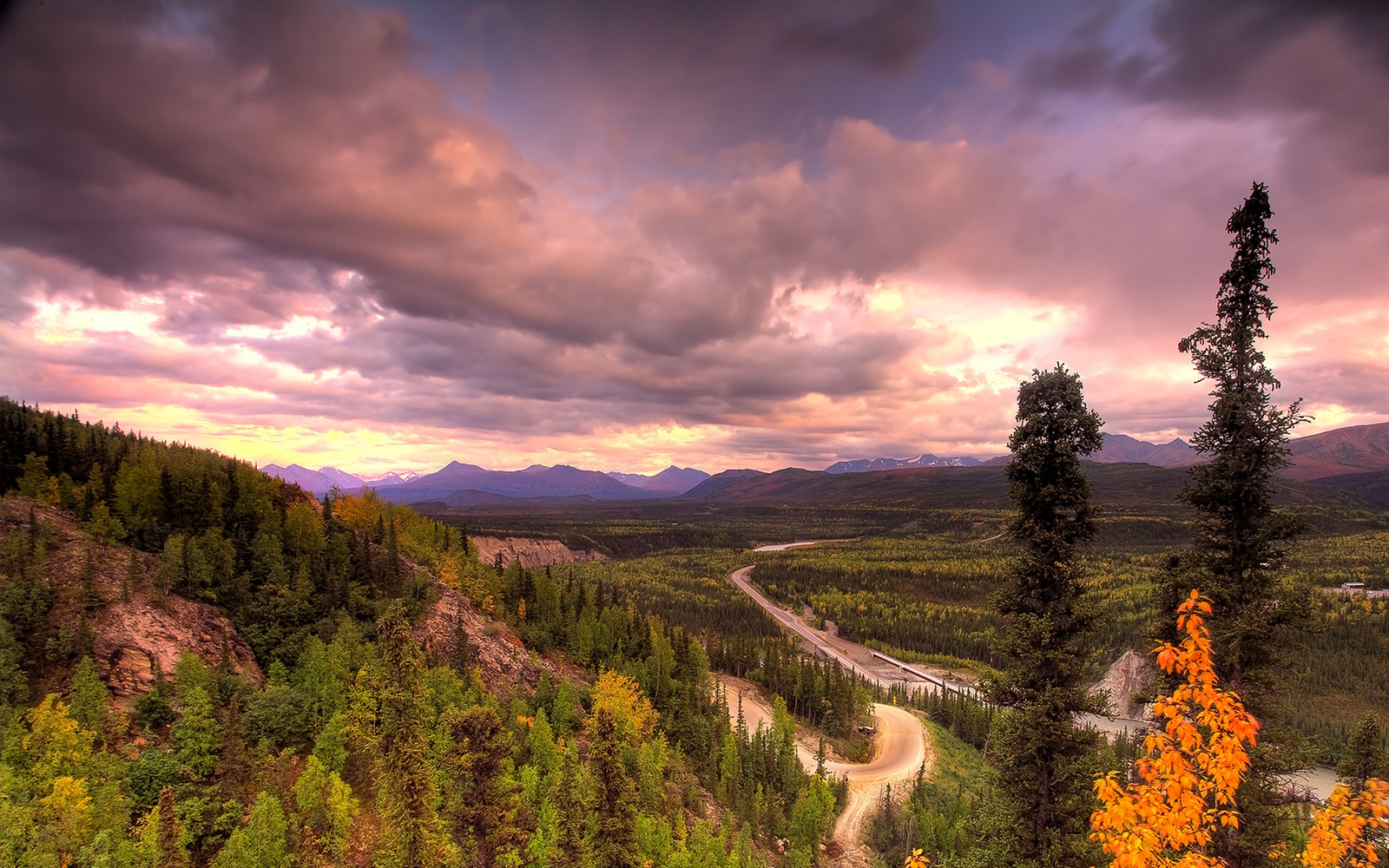 Vista aérea de una carretera sinuosa en las montañas con un bosque (parque nacional y reserva denali, denali, parque nacional, parque, naturaleza)