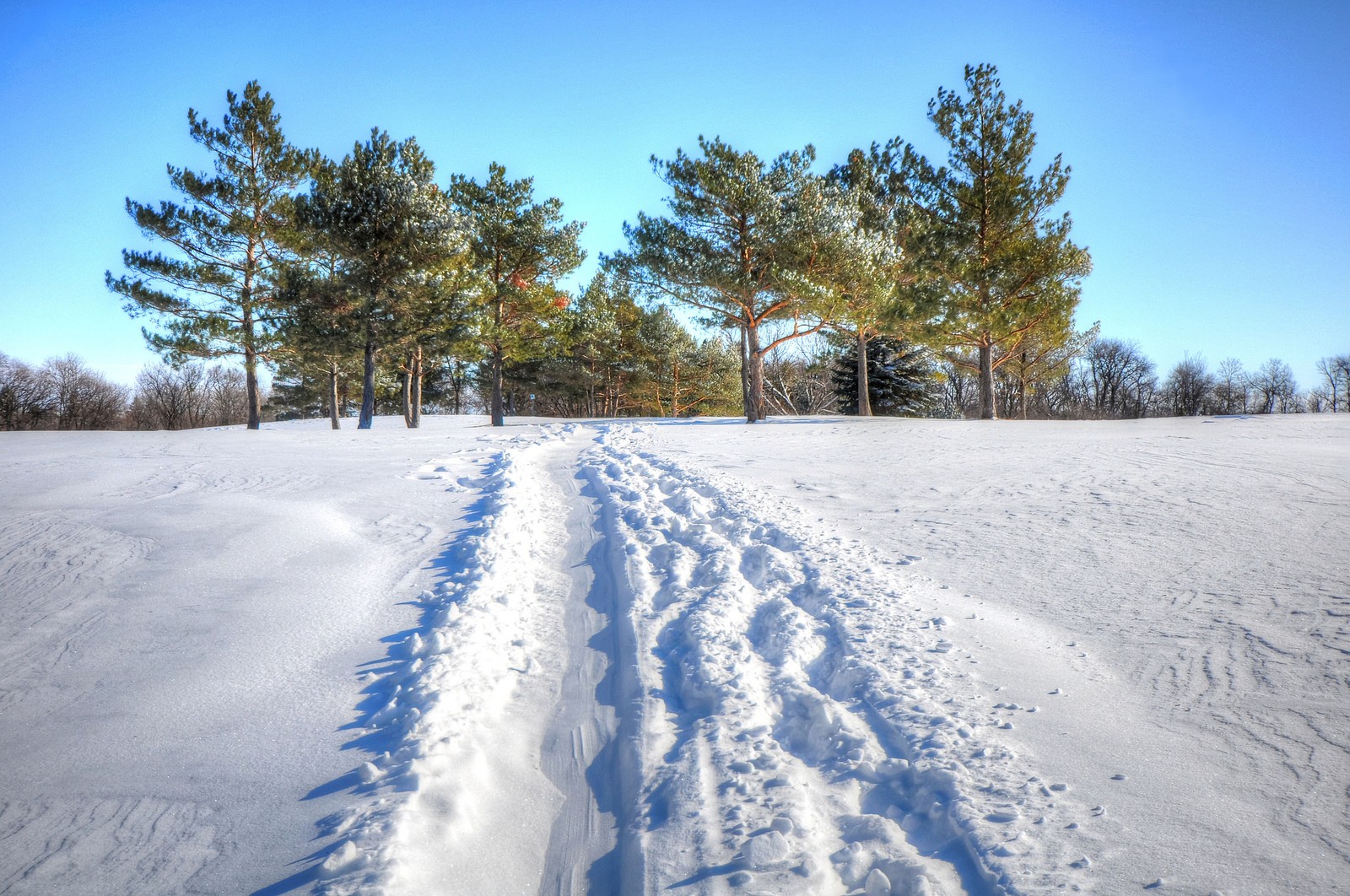 Vista aérea de um campo coberto de neve com árvores e um caminho (neve, inverno, nuvem, congelamento, árvore)