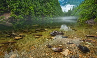 Ruhige Wildnisreflexion im Naturreservat von Vancouver