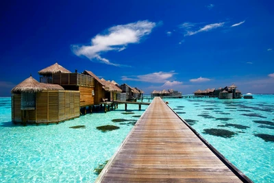 Luxurious Overwater Villas in a Tropical Lagoon