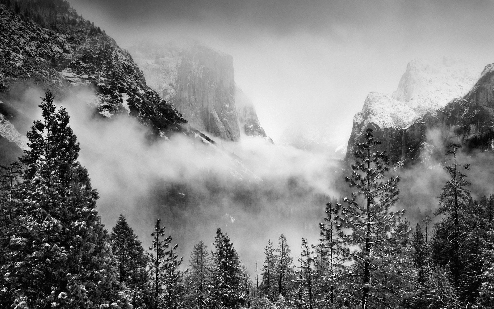 Descargar fondo de pantalla naturaleza, formas montañosas, montaña, árbol, nube