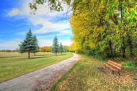 Autumn Serenity: A Peaceful Pathway Through a Colorful Nature Reserve