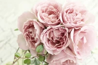 Elegant Pink Rose Bouquet with Delicate Petals