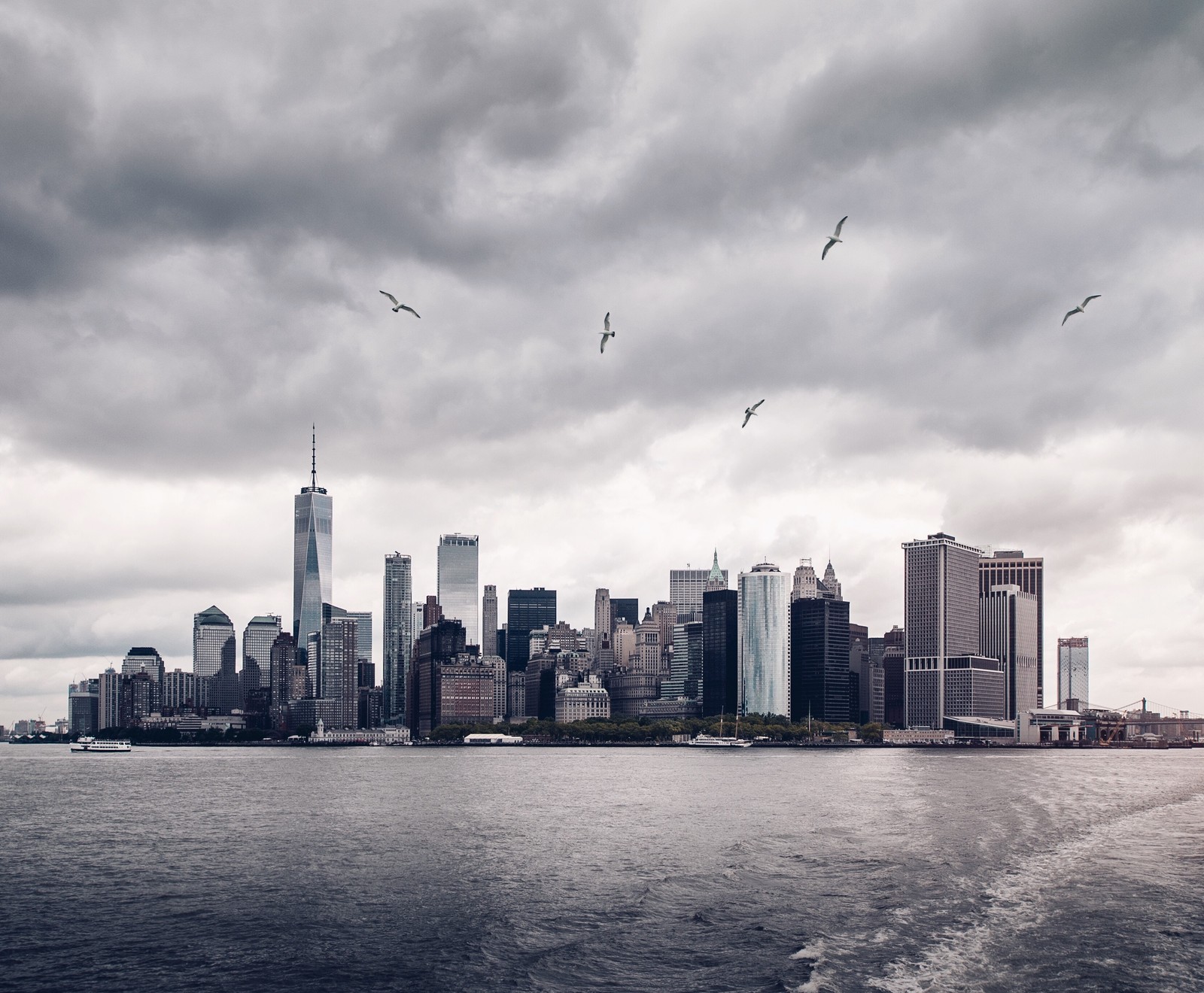 Muitas aves estão voando sobre o horizonte da cidade em um dia nublado (nova york, new york city, empire state building, arranha céus, paisagem urbana)