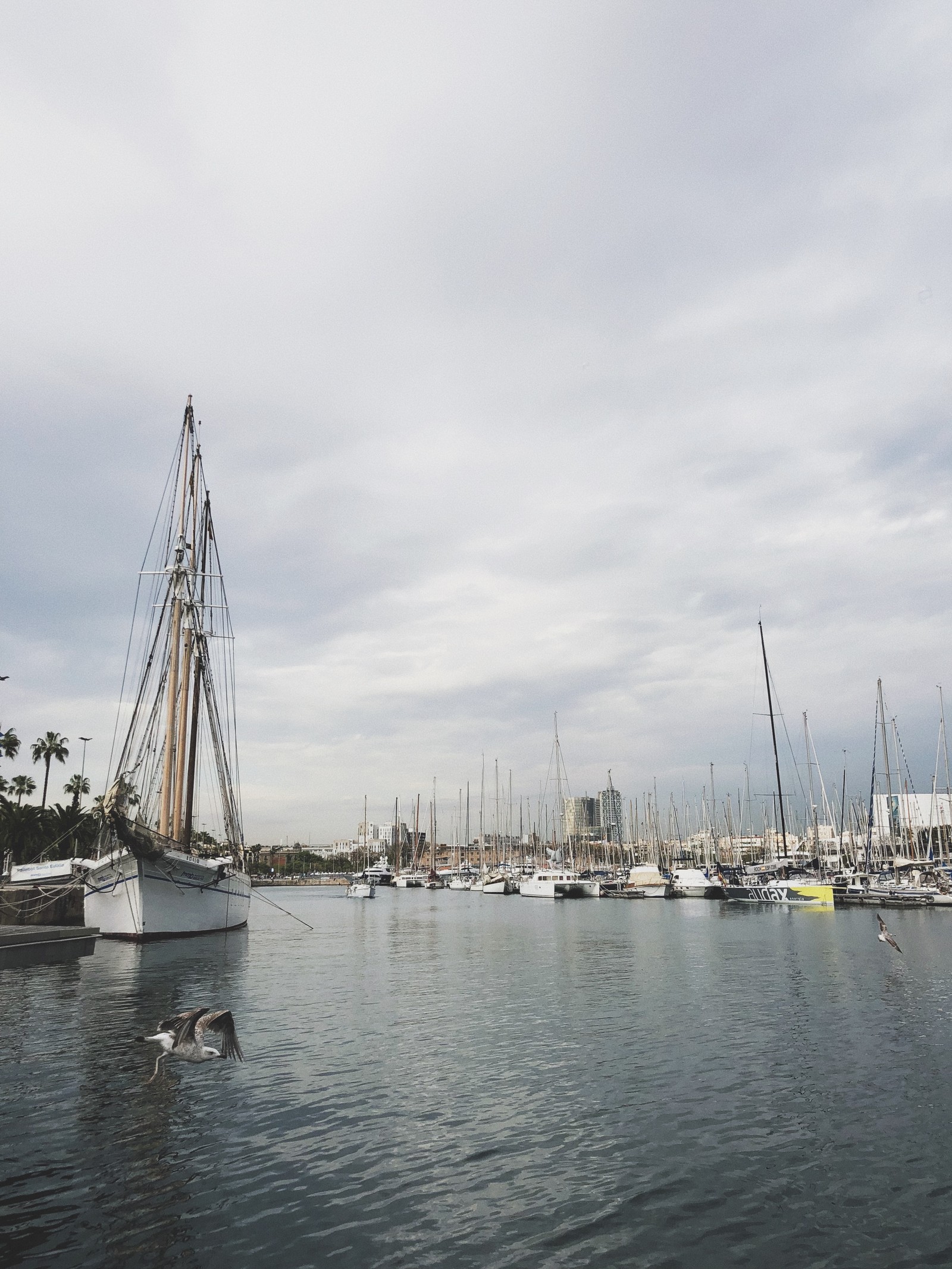 Des bateaux sont amarrés dans un port avec une ville en arrière-plan (port, voile, eau, bateau, navigation)