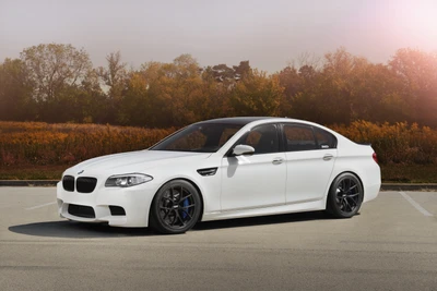 bmw m5, car, bmw 5 series, bmw, bmw 5 series f10