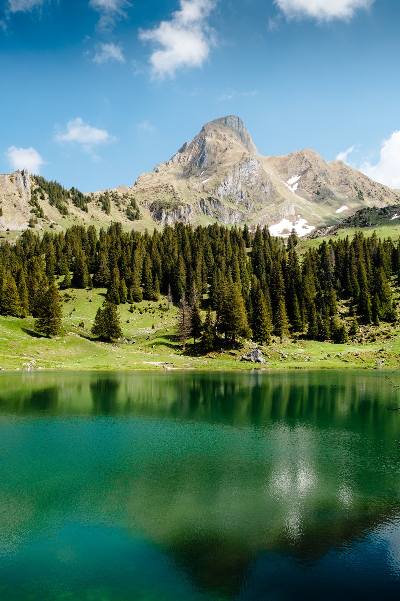 Озеро в горах с горой на заднем плане (gantrischseeli lake, сосны, весна, отражение, гора)