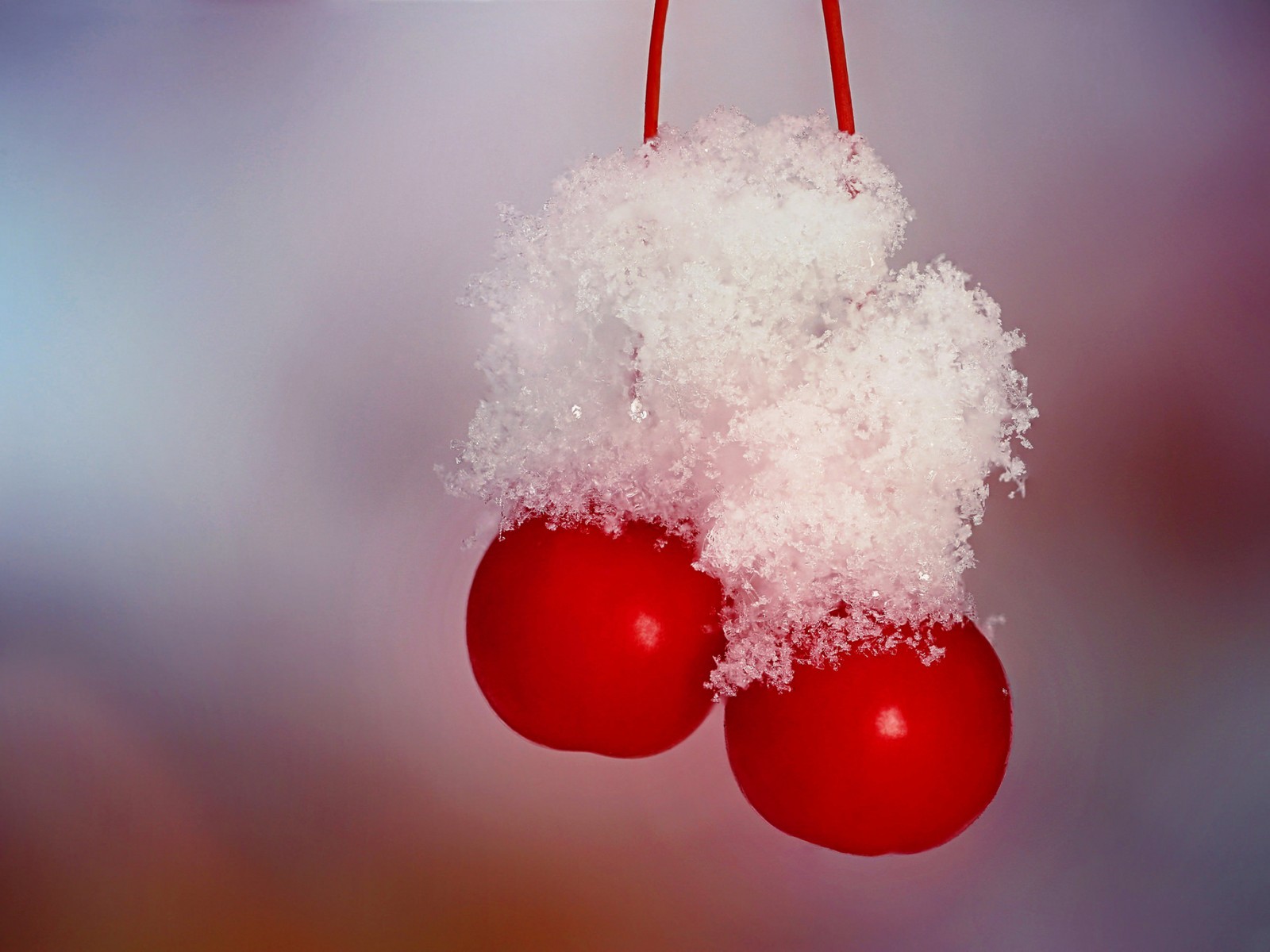 Il y a deux balles rouges suspendues à une ficelle rouge (cerise, baie, rouge, gel, fruit)