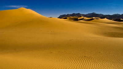 Goldene Dünen von Erg Chebbi unter klarem Himmel