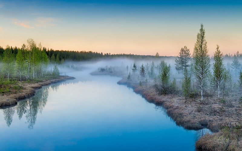 Панорамный вид на реку с туманным берегом и деревьями (природа, отражение, вода, водные ресурсы, река)