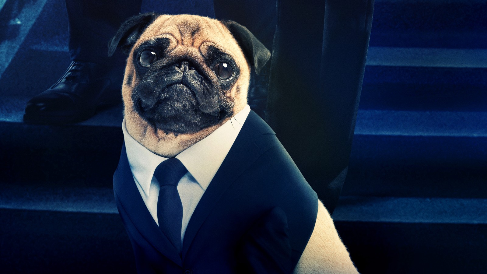 Jirafa vestida con traje y corbata sentada en los escalones (hombres de negro internacional, película, frank el pug, frank the pug)