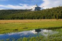 vallée de yosemite, yosemite valley, parc, nature, prairie