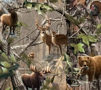 bear, camo, deer, elk, hunting wallpaper