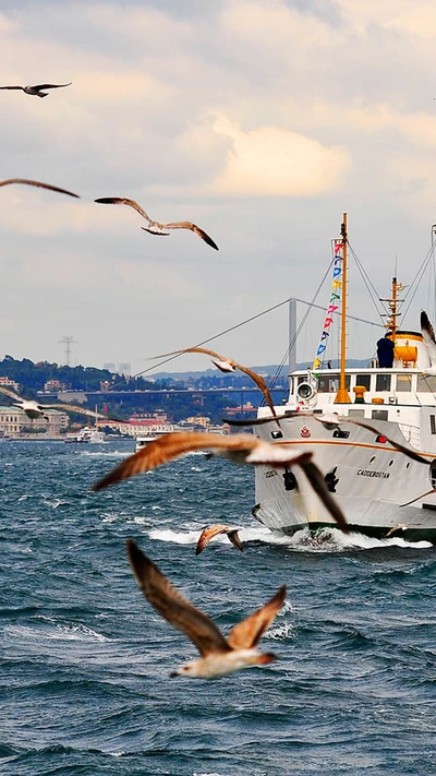 Eminönü: Barco de vapor de Estambul navegando entre gaviotas