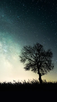 alone, iphone, milky, nature, night