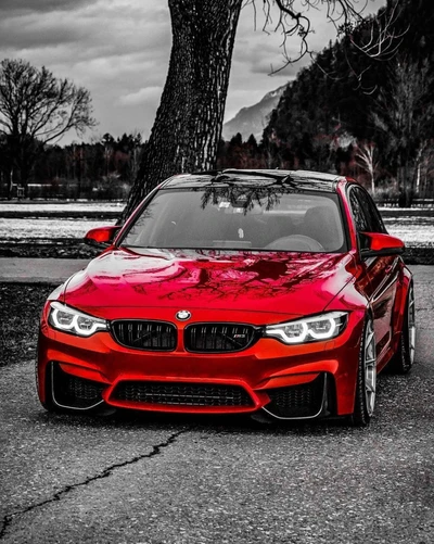 vermelho, carro, bmw