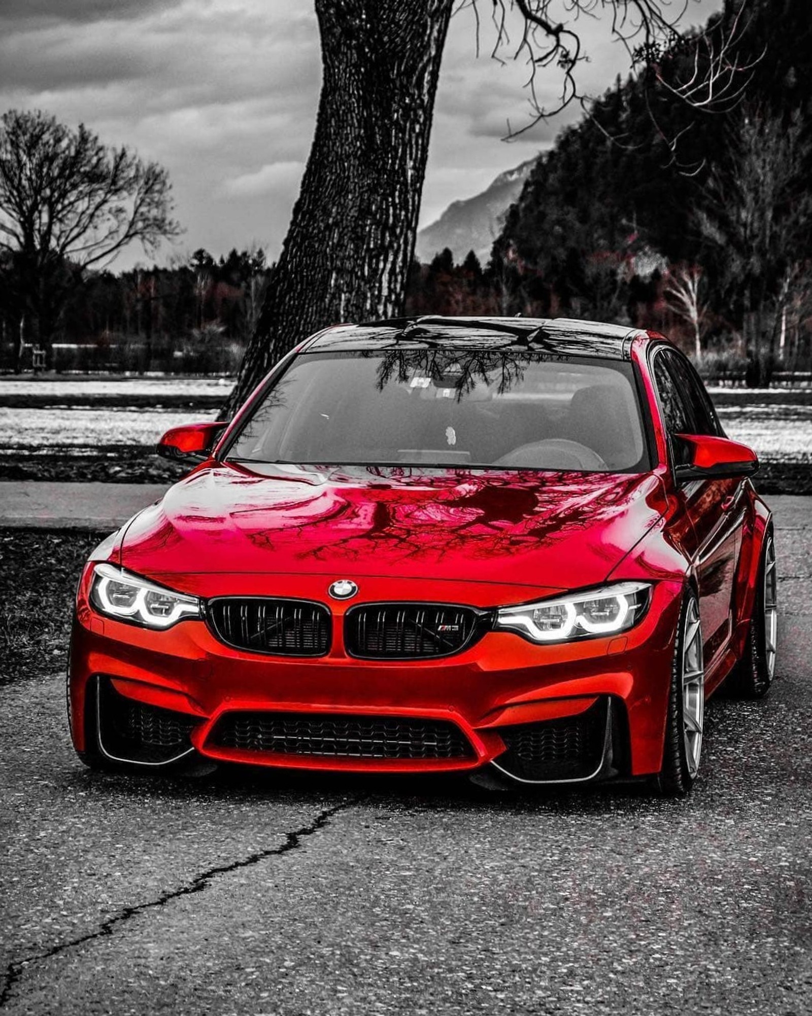 Un primer plano de un coche rojo estacionado en una carretera cerca de un árbol (rojo, coche, bmw)