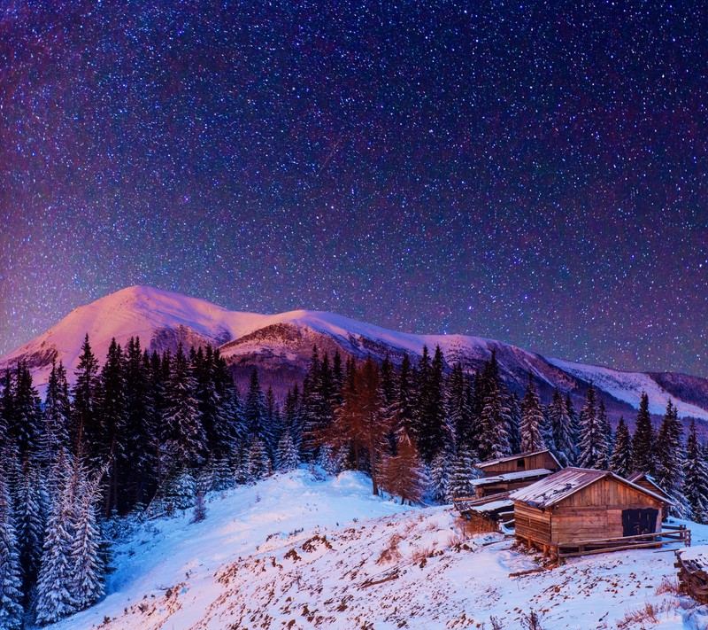 Заснеженная гора с хижиной и звездами на небе (лес, пейзаж, природа, ночь, снег)