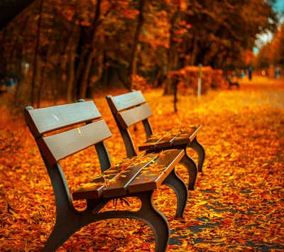 herbst, orange, draußen