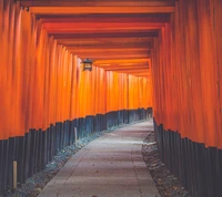 architecture, hallway, japan, orange