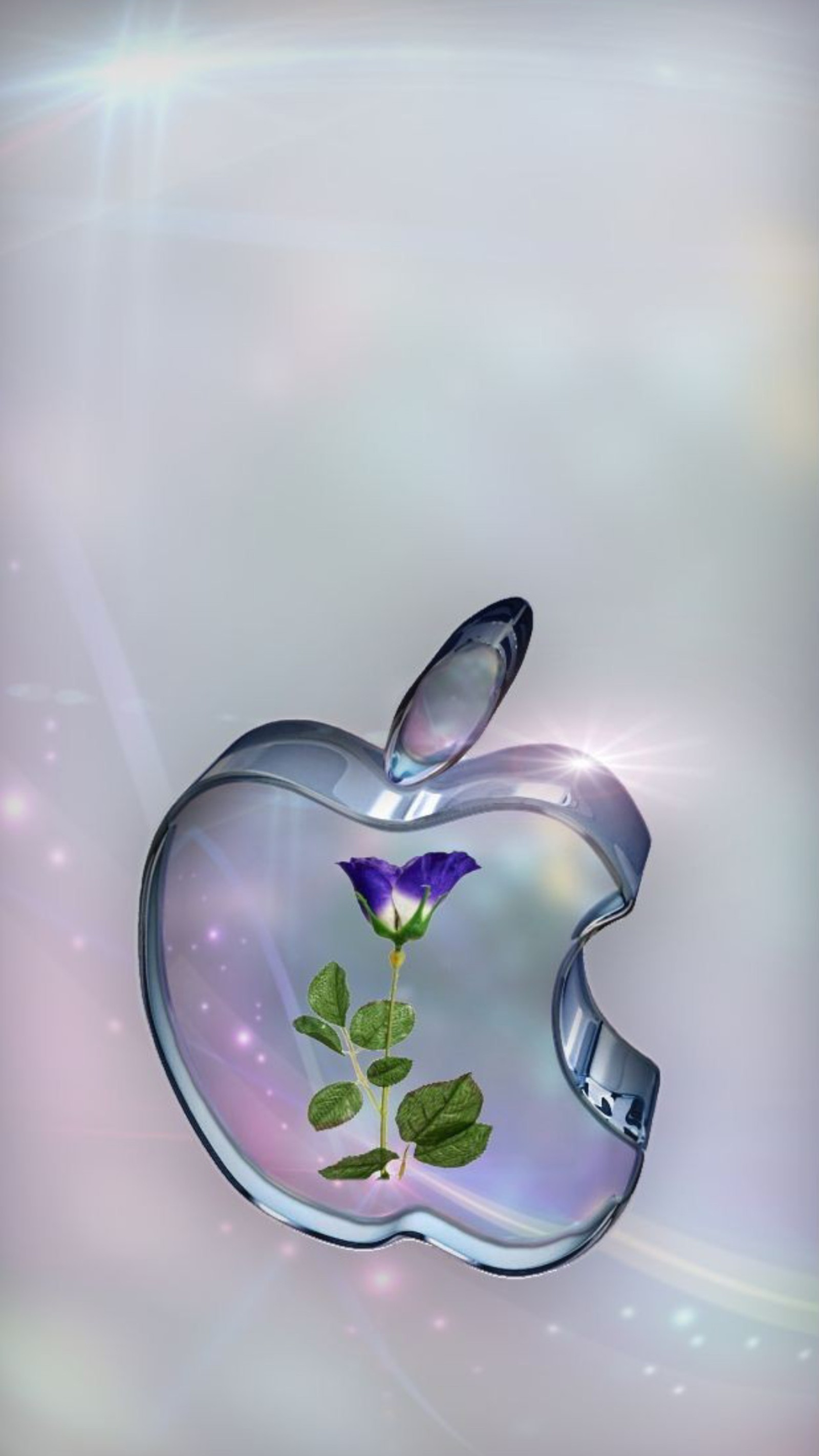 There is a glass apple logo with a flower in it (crystal, apple, logo, iphone, flower)