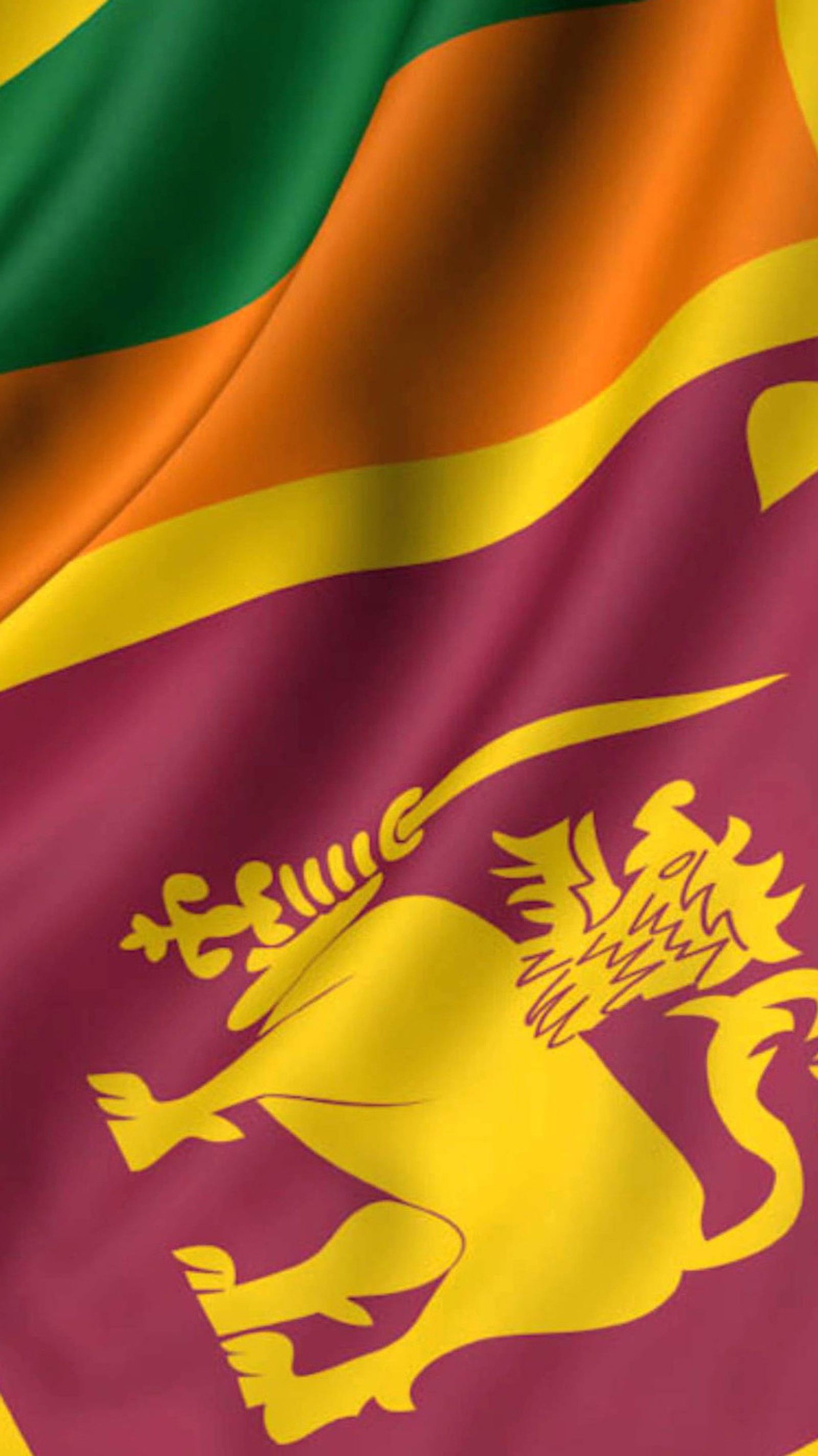 A close up of a flag with a lion on it (ceylon, cricket, lankan, lions, srilanka)