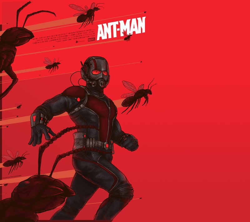 Крупный план человека на красном фоне с пауком (человек муравей, ant man, marvel, человек паук, spiderman)