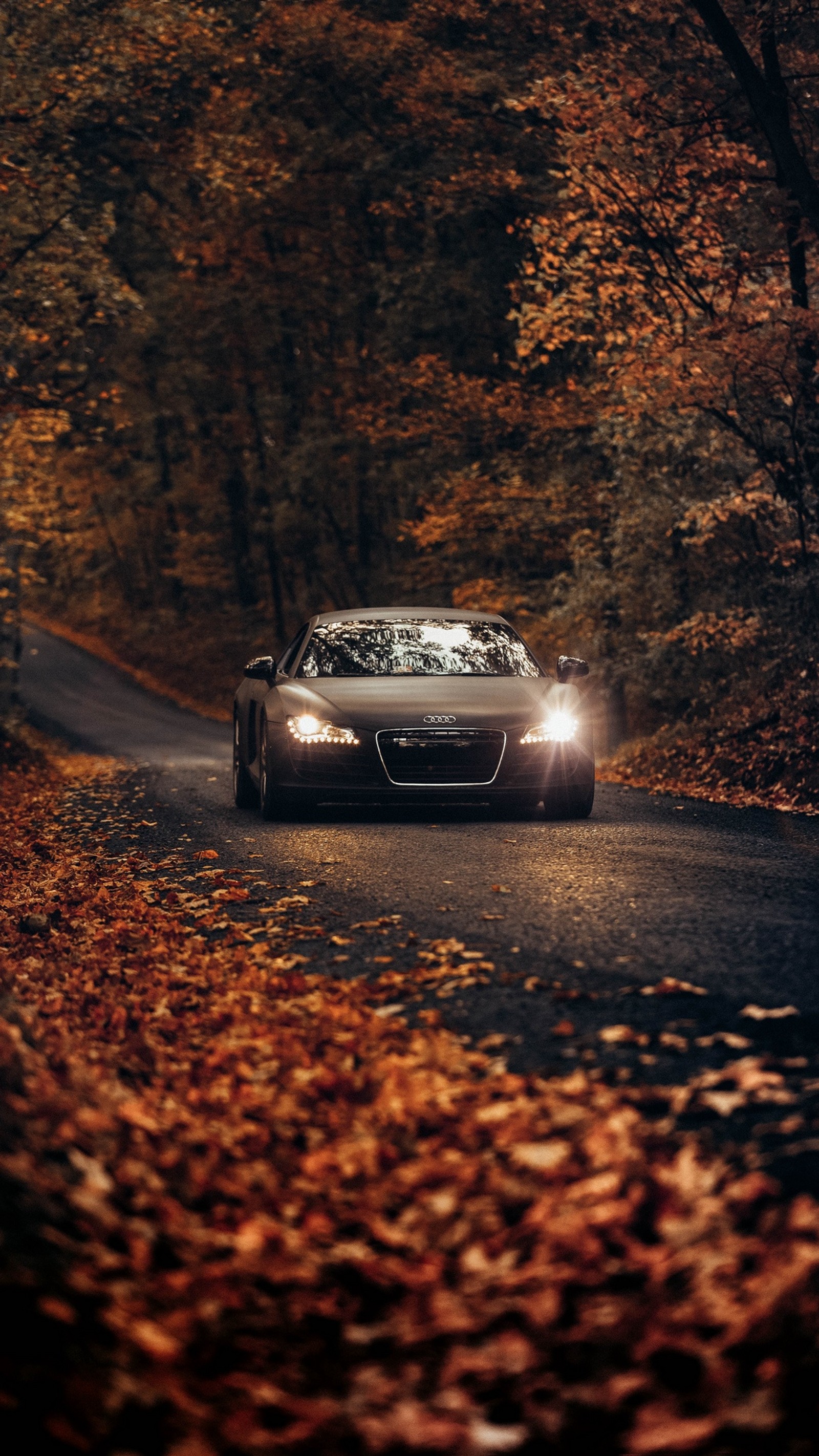 Arafed car driving down a road in the middle of a forest (audi, r8, black, car, hypercar)