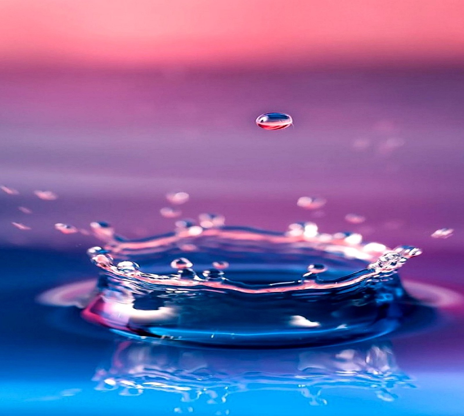 Un gros plan d'une goutte d'eau avec un ciel rose en arrière-plan (goutte)