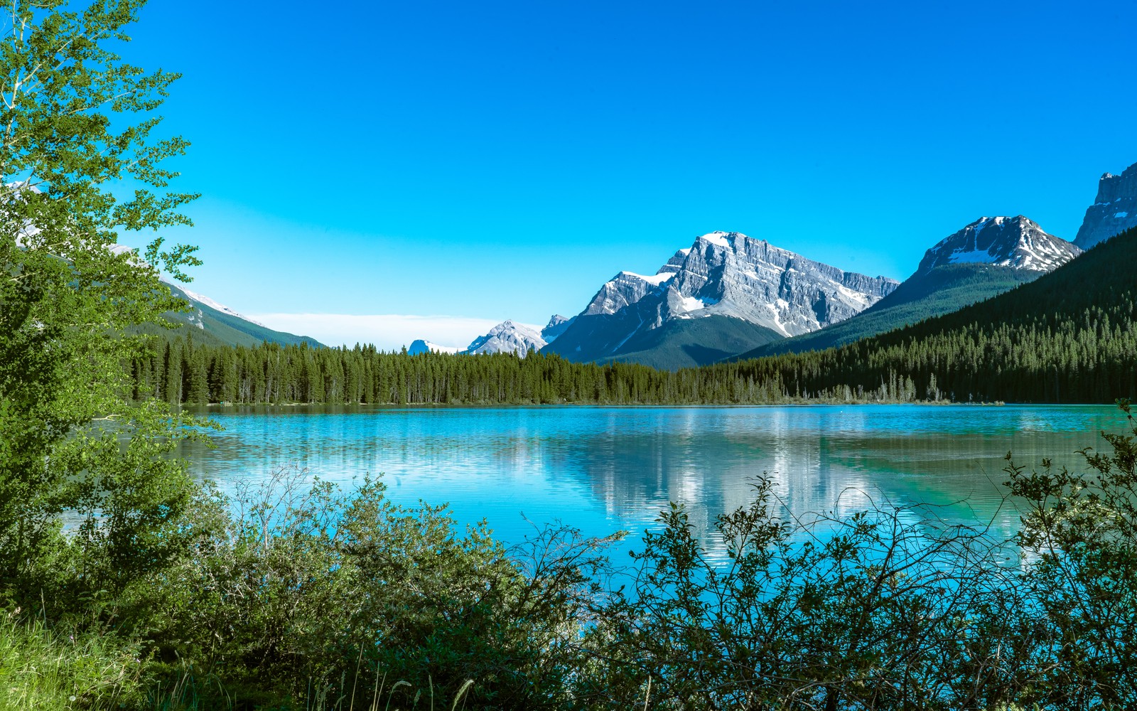 Арафед горный хребет вдалеке с озером на переднем плане (озеро боу, bow lake, канада, покрытый снегом, горы)