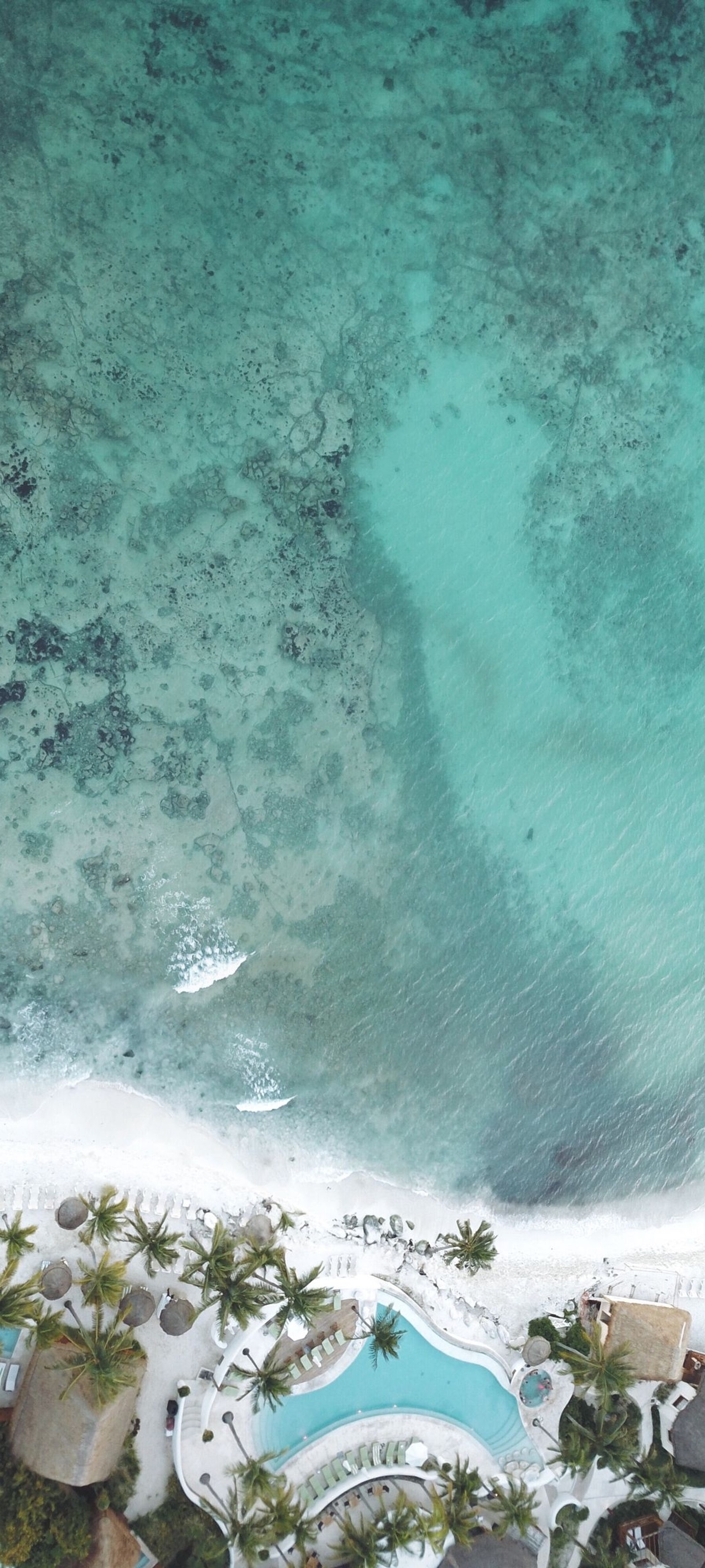 Vista aérea de uma praia com uma piscina e palmeiras (playa del carmen, água, azul celeste, nuvem, aqua)