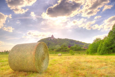 Prairie ensoleillée avec des balles de foin et des collines ondulantes sous un ciel nuageux