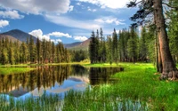 Tranquil Wilderness: A Reflective Lake Surrounded by Lush Forest and Majestic Mountains