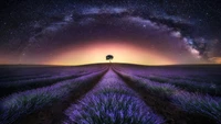 stars, night, sky, milky way, lavander wallpaper