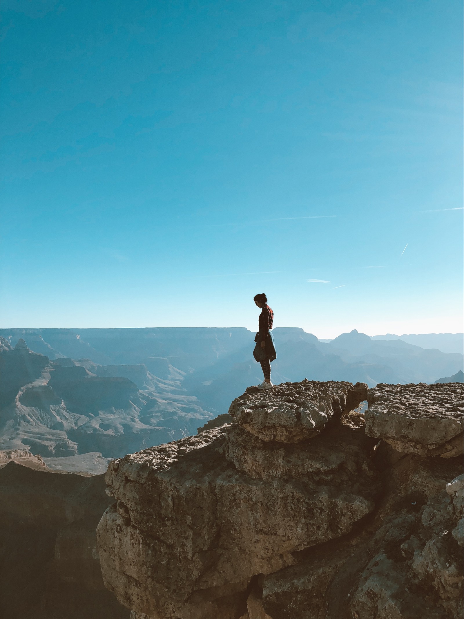 Araffe standing on a cliff overlooking a vast mountain range (mountain, terrain, outcrop, bedrock, formation)